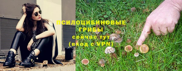соль ск Верея
