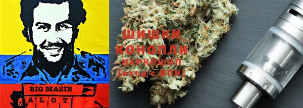 молекула духа Володарск