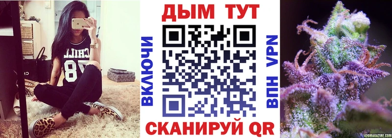 Каннабис сатива  Динская 